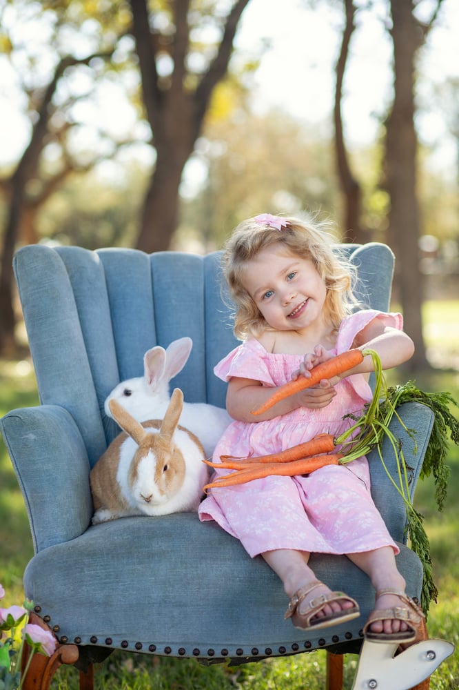 Image of Bunny mini sessions!!