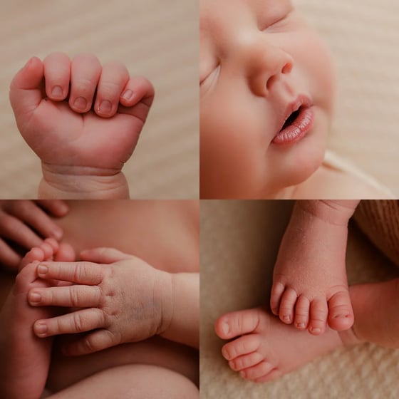 Image of CALIFORNIA NEWBORN WORKSHOP 2025