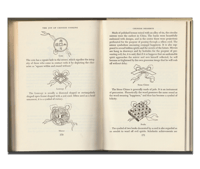 Image 3 of The Joy of Chinese Cooking by Doreen Yen Hung Feng