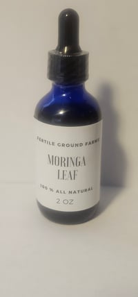 MORINGA LEAF 