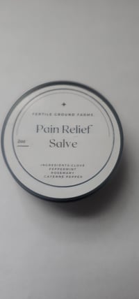 PAIN RELIEF SALVE 