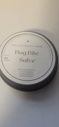 BUG BITE SALVE 
