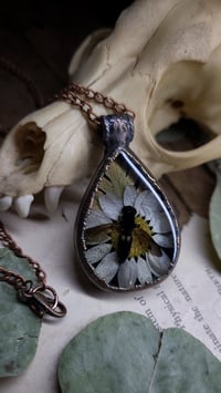Image 4 of Wasp and Daisy Pendant