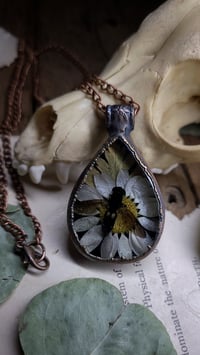 Image 1 of Wasp and Daisy Pendant