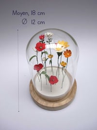 Image 2 of Jardin intérieur, fleurs sous cloche