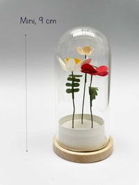 Image 3 of Jardin intérieur, fleurs sous cloche