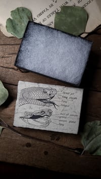 Image 4 of Vintage Snake Gift Box