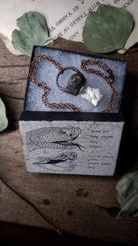 Image 5 of Vintage Snake Gift Box