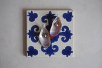 Image 1 of Mussel Earrings