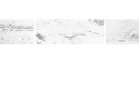 Image 5 of Trail - Ikuru Kuajima