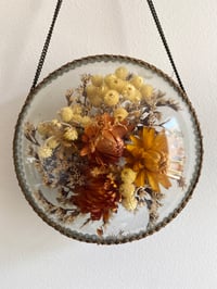 Image 3 of Magnifique cadre avec composition de fleurs séchées