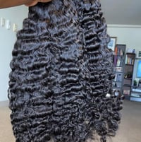 Image 1 of Raw Burmese Curl