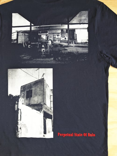 Image of Perpetual State of Ruin T-shirt