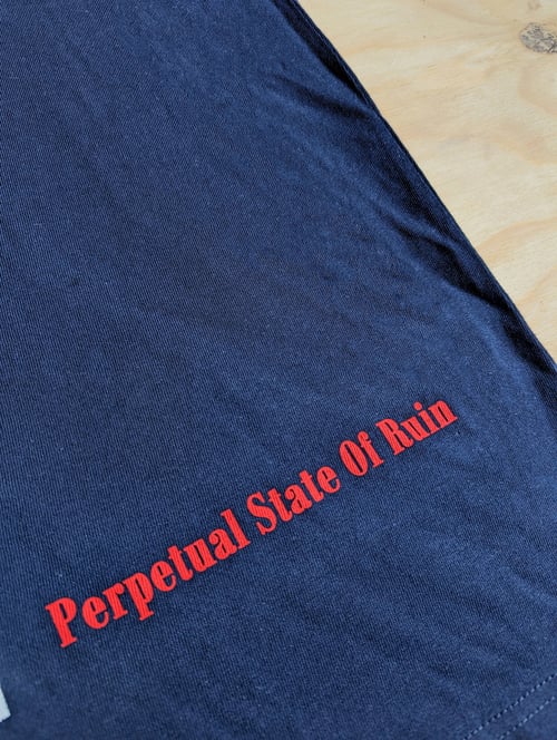 Image of Perpetual State of Ruin T-shirt