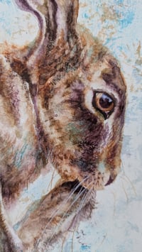 Image 3 of Hare Washing