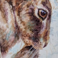 Image 4 of Hare Washing