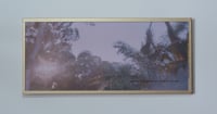 Wanderings / Derivas #5