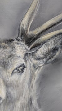 Image 2 of Imperial Stag Oil Painting