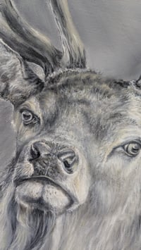 Image 3 of Imperial Stag Oil Painting