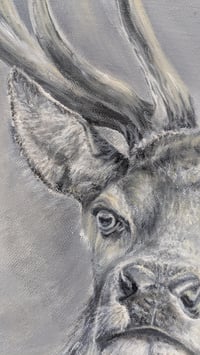Image 4 of Imperial Stag Oil Painting
