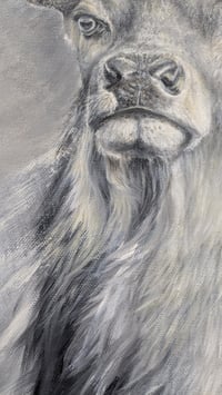 Image 5 of Imperial Stag Oil Painting