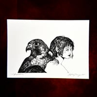 Image 2 of Falcon