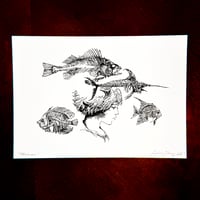 Image 2 of Fishes