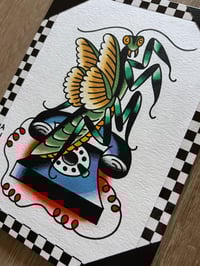 Image 2 of praying mantis