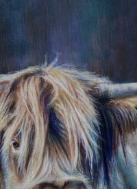 Image 2 of Heilan' Coo Hues