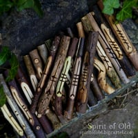 Image 3 of Tree Speak Corresponding Ogham Staves (D060-5)
