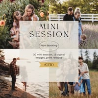Mini Session - $250