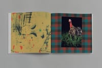 Image 4 of Stone Soup (Pre sale)