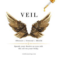 Image 1 of VEIL (Obscure | Conceal | Hide)