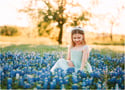 Bluebonnet Mini Sessions 