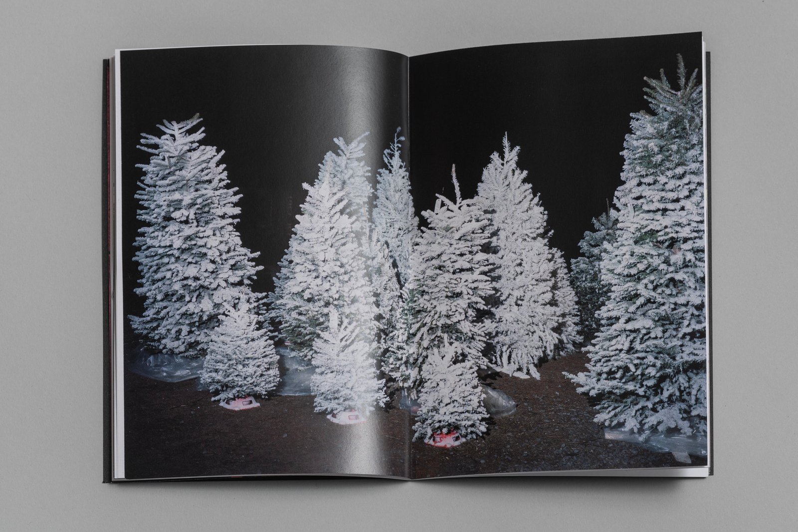 Four Stories About Photographs | Nocturno Books