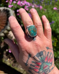 Image 3 of WL&A Rustic Bronze & Sterling Gem Grade Pilot Mountain Turquoise Signet - Sizes 12