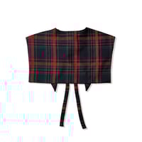 Image 2 of Tartan Storm Shield