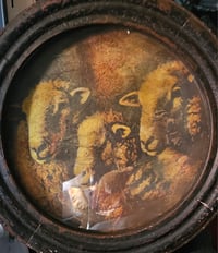 Image 1 of Shepherds Time