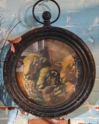 Image 2 of Shepherds Time