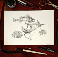 Image 1 of Original Art - Fishes