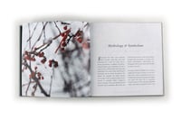 Image 3 of +1476+ - Our Season Draws Near Special Edition Art Book