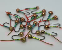 Next Gen Perdigon (Orange/Peacock)