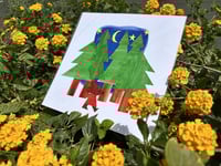 Image 2 of Night Walk