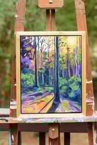 Image 1 of Forest's Embrace