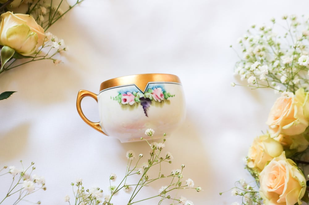 Image of AMAZING Vintage 1920s Princess China Thomas Jorgenson Bavaria Tea Cup 