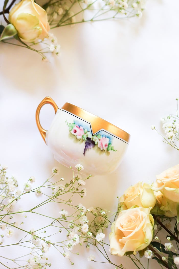 AMAZING Vintage 1920s Princess China Thomas Jorgenson Bavaria Tea Cup 