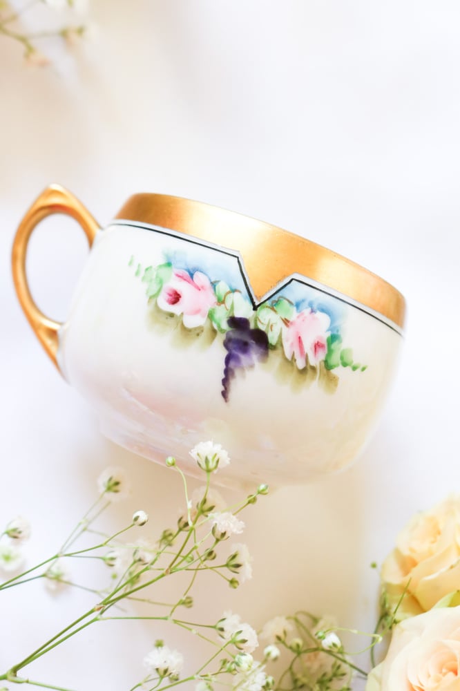 Image of AMAZING Vintage 1920s Princess China Thomas Jorgenson Bavaria Tea Cup 