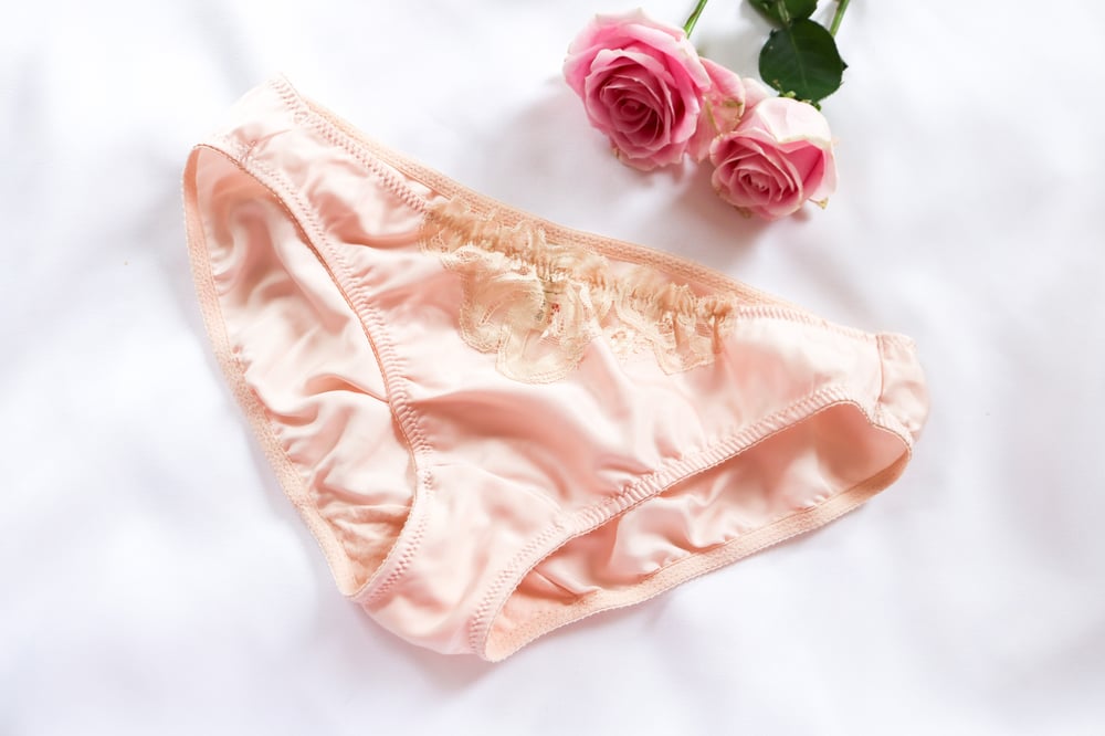 Image of Rare Eve Stillman for Lady Marlene Nylon Panties (Medium)