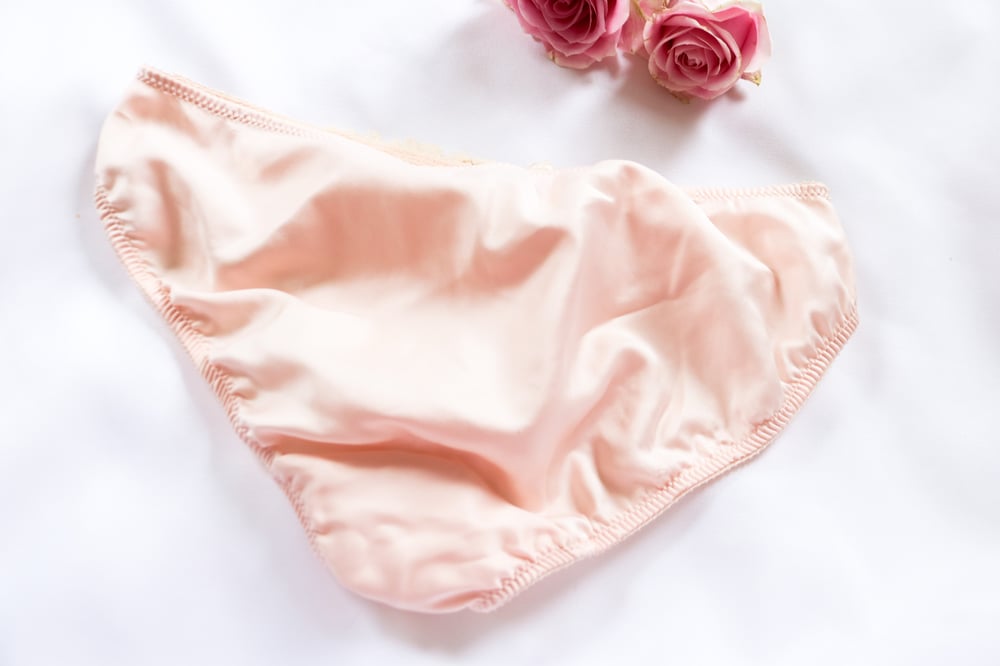 Image of Rare Eve Stillman for Lady Marlene Nylon Panties (Medium)