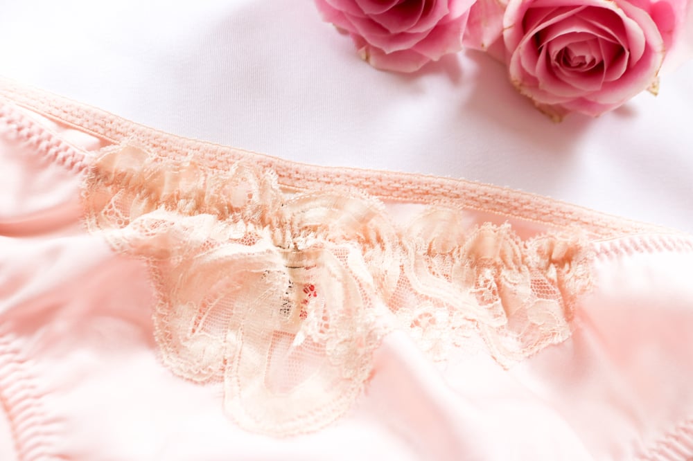 Image of Rare Eve Stillman for Lady Marlene Nylon Panties (Medium)